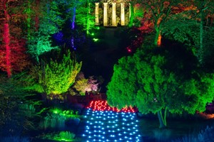 Glow Entrance for Two at RHS Harlow Carr picture