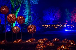 Glow Entrance for Two Adults and Two Children at RHS Rosemoor picture