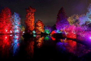 Glow Entrance for Two at RHS Rosemoor picture