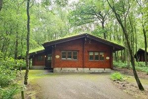 Overnight Stay in a Woodland Cabin for Two at Chevin Country Park Hotel and Spa, West Yorkshire picture