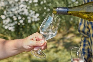 Tour and Picnic for Two at Wildshark Vineyard picture