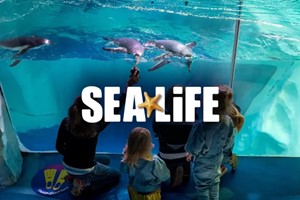 SEA LIFE Entry Tickets for Two Adults and One Child UK Wide picture