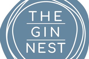 Buy Gin Masterclass for One with The Gin Nest in Torquay
