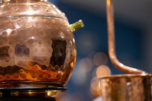 Buy Gin Masterclass for Two with The Gin Nest in Torquay