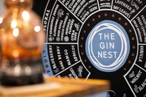 Gin Masterclass for Two with The Gin Nest in Torquay Image 3