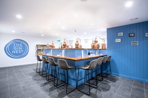 Gin Masterclass for Two with The Gin Nest in Torquay Image 2