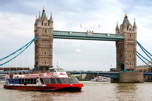 Houses of Parliament Tour With Thames River Cruise and Afternoon Tea for Two at Park Plaza Image 4