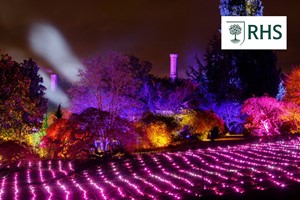 RHS Glow Illuminations at Wisley for Two Adults and Two Children picture