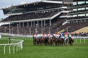 Cheltenham Horse Racing Raceday and Preview for Two with Racing Breaks picture