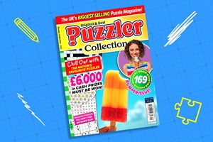 Seven Issue Puzzler Collection Magazine Subscription picture
