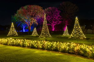 RHS Glow Illuminations at Bridgewater for Two Adults picture
