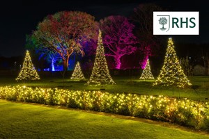 RHS Glow Illuminations at Bridgewater for Two Adults picture