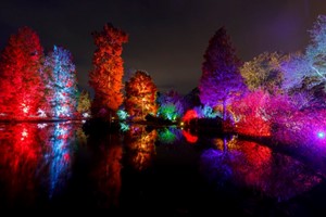 RHS Glow at Wisley for Two Adults picture