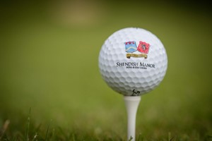 Weekday One Night Golf Stay with Dinner and Breakfast for Two at Shendish Manor picture