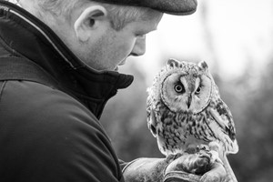 Owl Encounter for One in Derbyshire with BB Falconry picture
