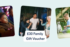 £30 Family Gift Voucher picture