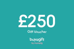 £250 Buyagift Gift Card picture