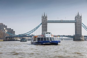 Thames Murder Mystery Cruise with Three Course Dinner and Fizz for Two Image 3