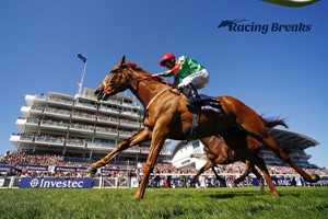 A Day at the Races for Two with Enclosure Tickets and Preview picture