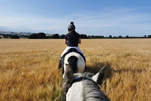 90-Minute Horse Riding Experience for One with Eat, Sleep, Ride Image 3