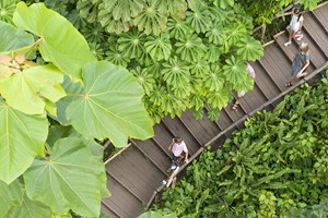 One Year Individual Family Membership to the Eden Project Image 4