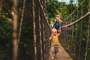 One Year Individual Family Membership to the Eden Project Image 5