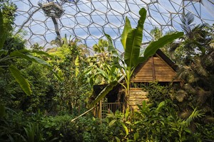 One Year Individual Family Membership to the Eden Project Image 3