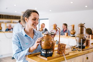 Gin School for Two with Salcombe Gin Image 2