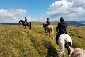 Half Day Pony Trek with Grange Trekking for One picture