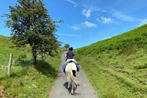 One Hour Horse Riding Experience for Two at Grange Trekking  Image 3