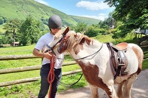 One Hour Horse Riding Experience for Two at Grange Trekking  Image 2