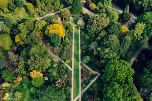 Day Entry to Sir Harold Hillier Gardens with One Hour Private Tour and Hot Drink and Cake for Two picture