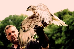 Three Hour Birds of Prey Experience for Two at Hawksflight Falconry Image 4