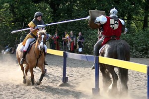 Jousting Experience in Warwick for One Image 1