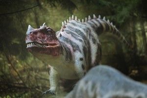 VIP Jurassic Experience for Two at Hoo Zoo and Dinosaur World Image 3