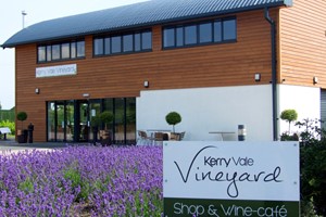 Vineyard Tour for Two with Wine Tasting and Cheese at Kerry Vale Vineyard picture