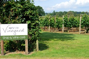  Vineyard Tour for Two with Wine Tasting at Kerry Vale Vineyard picture