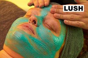 LUSH SPA FRESH FACIAL 30 Minute Bespoke Facial for One picture