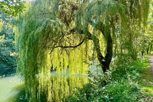 Overnight Cocoon Break for Two at Lee Valley picture