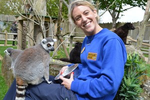 Lemur Close Encounter Experience at Drusillas Park Zoo for One Image 3