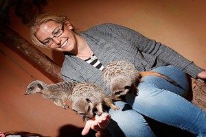 2 for 1 Meet The Meerkats Experience  Image 5