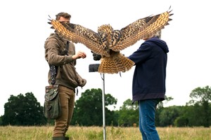 Click to view details and reviews for Three Hour Birds Of Prey Flying Experience For One With Mercer Falconry.