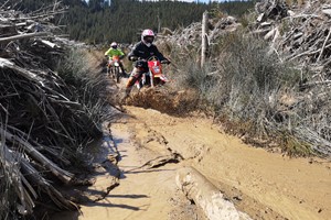 Half Day Off Road Biking Adventure in Shropshire for Two picture