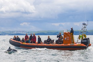 Click to view details and reviews for 2 Hour Sealife Safari Family Rib Trip In Padstow Cornwall.
