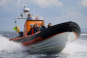 2 Hour Sealife Safari Family RIB Trip in Padstow, Cornwall Image 2