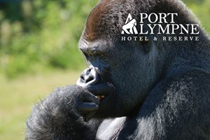 Gorilla Encounter and Truck Safari for Two at Port Lympne Reserve picture