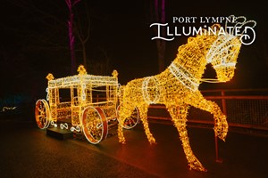 Twilight Tea and Festive Light Trail for Two with Port Lympne picture