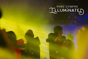 Festive Magical Light Trail and Overnight Stay at Port Lympne for Eight People picture