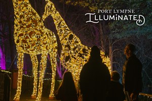 Festive Magical Light Trail and Overnight Stay at Port Lympne for Two Adults and Two Children picture