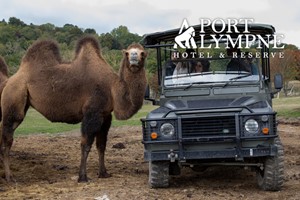Port Lympne Reserve Ranger Tour and Entry for Two picture